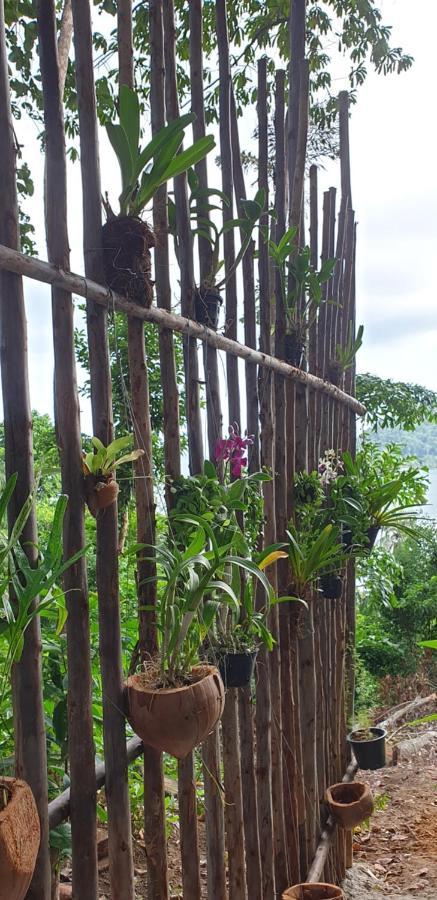 Jeroen'S Jungle View Apartment Koh Chang Bagian luar foto
